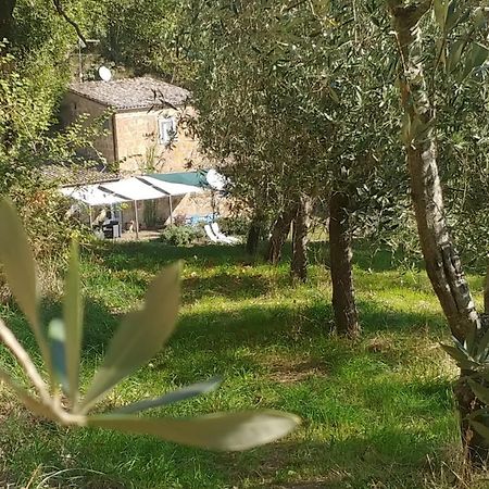 Bed and Breakfast L'Antico Molino Lubriano Exterior foto