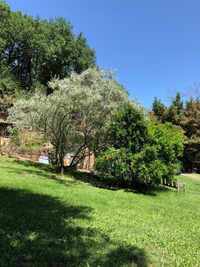 Bed and Breakfast L'Antico Molino Lubriano Exterior foto