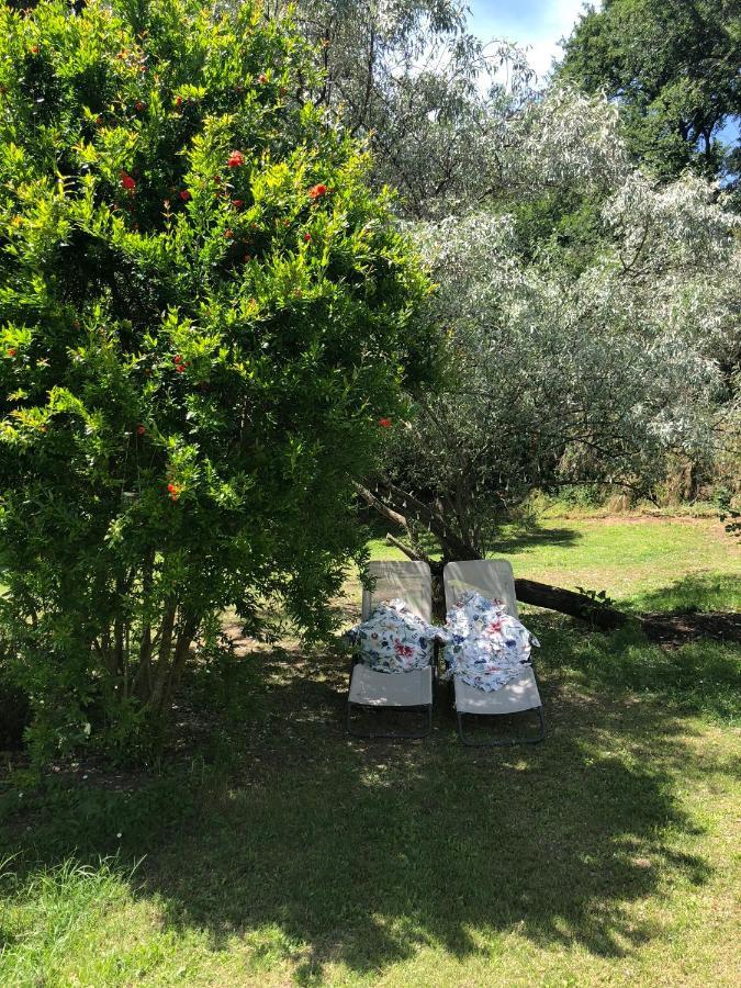 Bed and Breakfast L'Antico Molino Lubriano Exterior foto