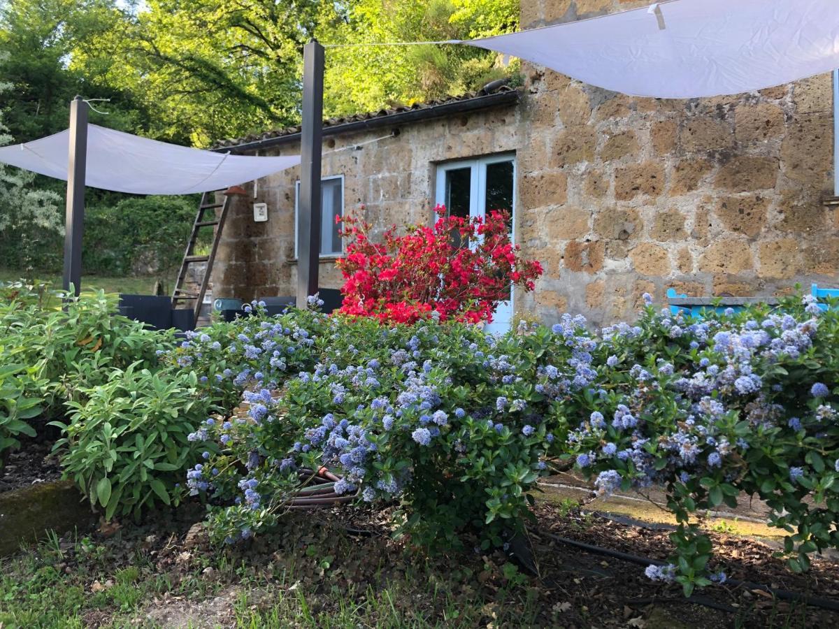 Bed and Breakfast L'Antico Molino Lubriano Exterior foto